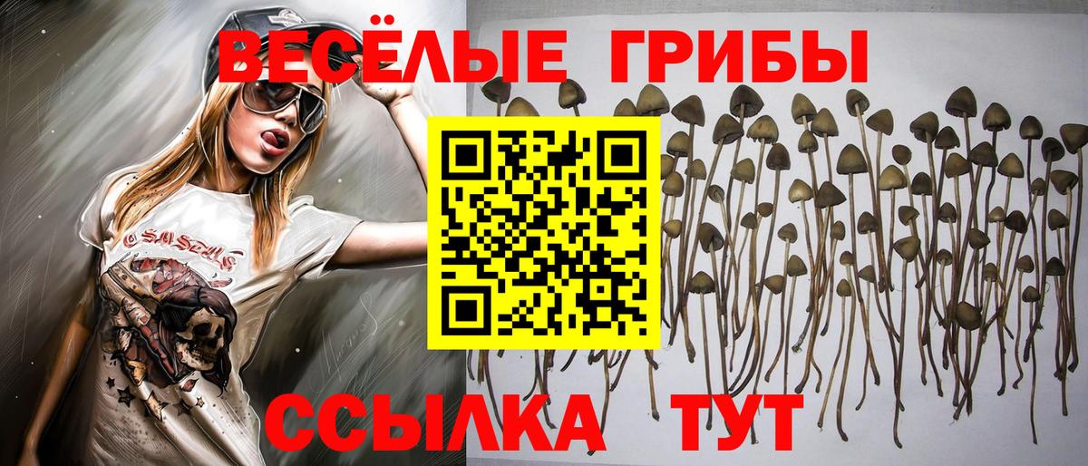 Ноябрьск  Галлюциногенные грибы Psilocybe  Галлюциногенные грибы прущие грибы  Вход с VPN 