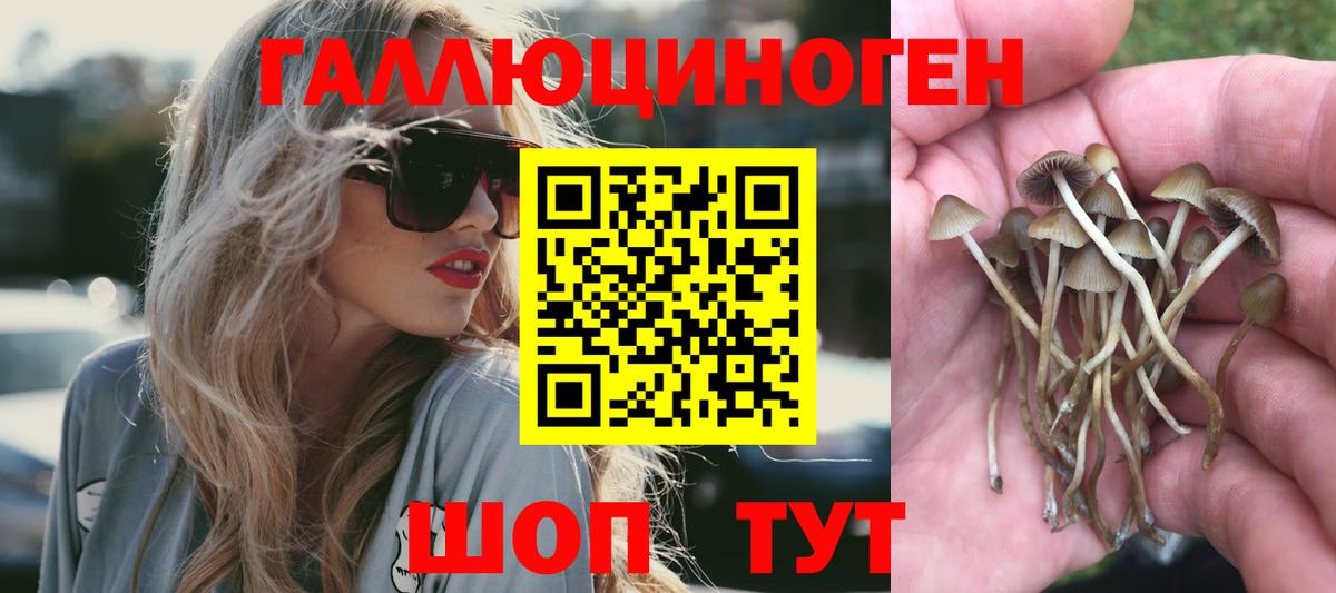 Галлюциногенные грибы MAGIC MUSHROOMS Ноябрьск